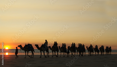 Camel Ride on Broome s Beach at sunset