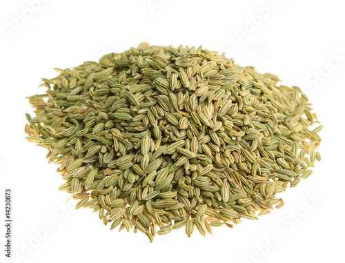 Fenchel (fennel) isolated