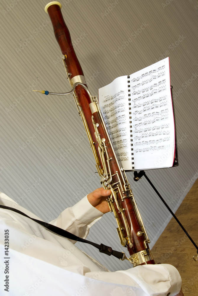 Fototapeta premium bassoon