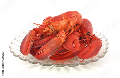 Fresh cooked lobsters