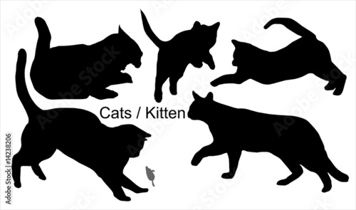 Katzen