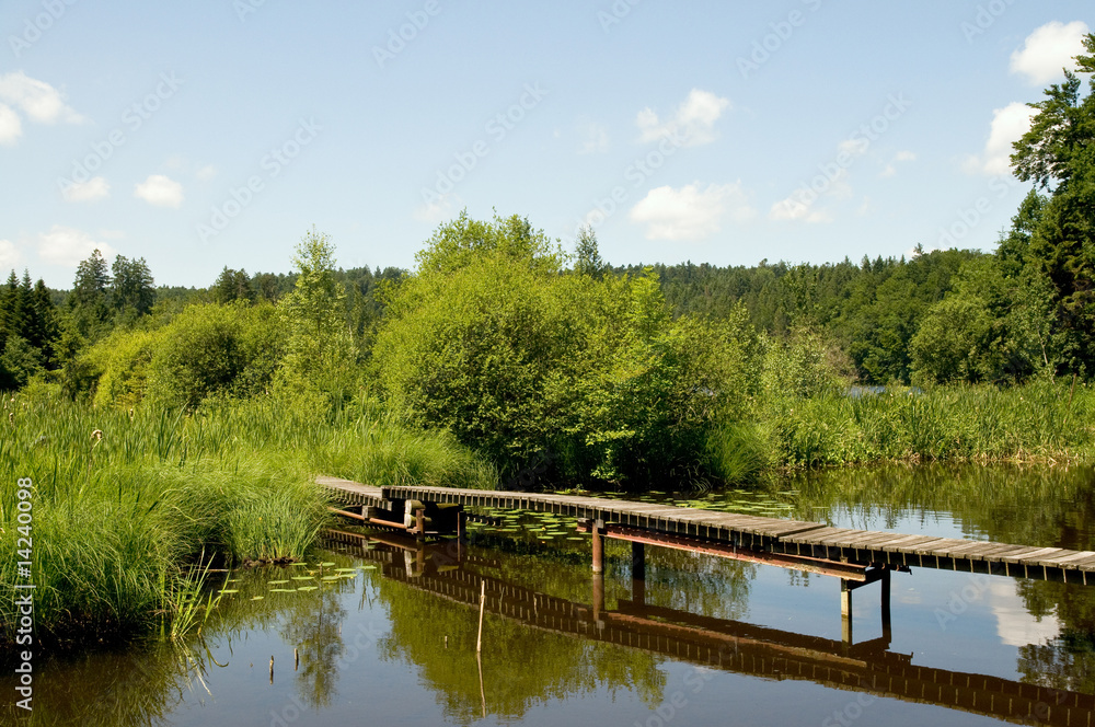 Obraz premium Steg am Hackensee