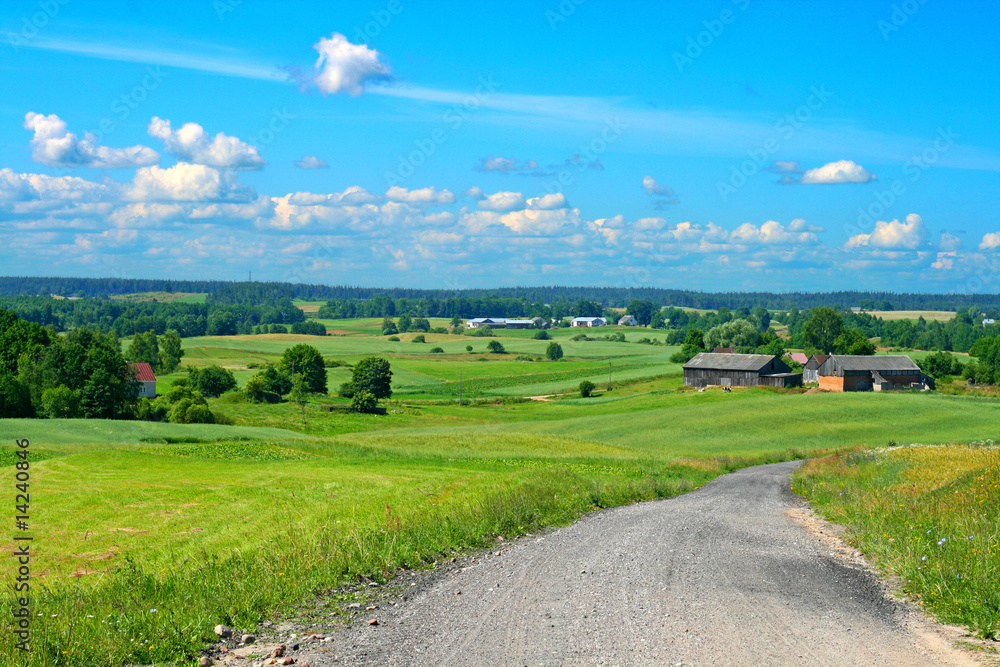 Summer landscape of green fields and road with bright blue sky