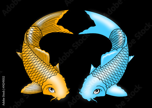 Koi Karpfen Set