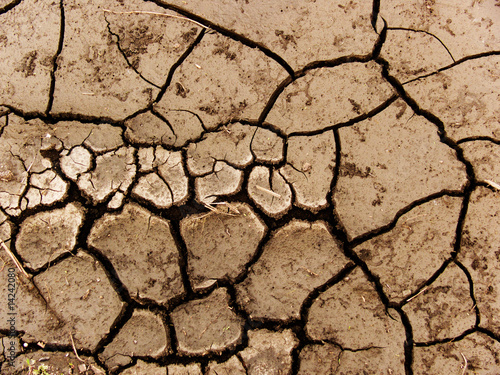 Cracks soil