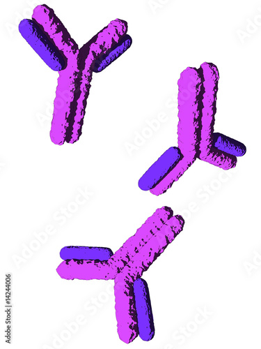 antikörper