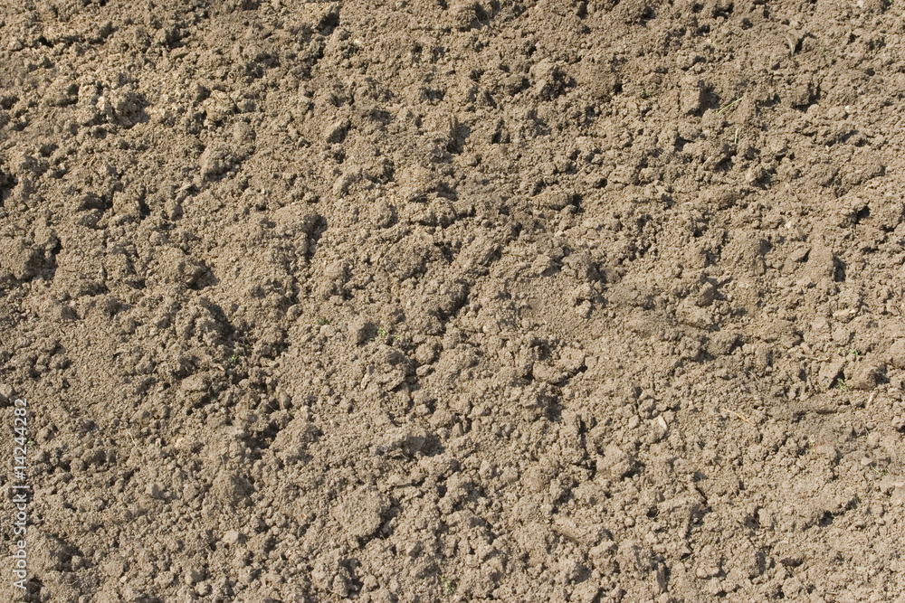 Abstract background. texture of dug ground. Plowed land