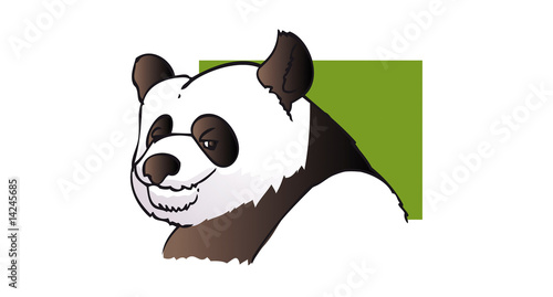 tête panda
