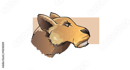 tête de lion
