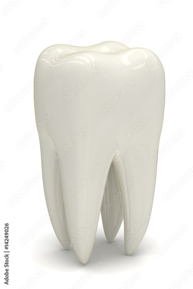 White tooth White tooth