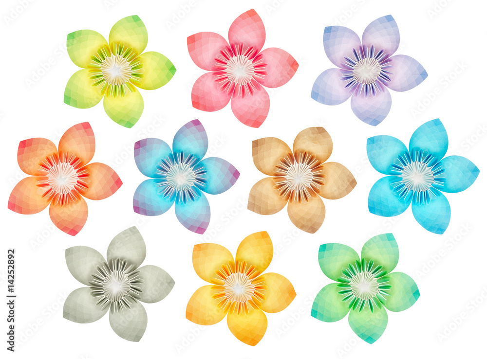 10 isolated paper flowers on a pure white background 10 isolated paper flowers on a pure white background