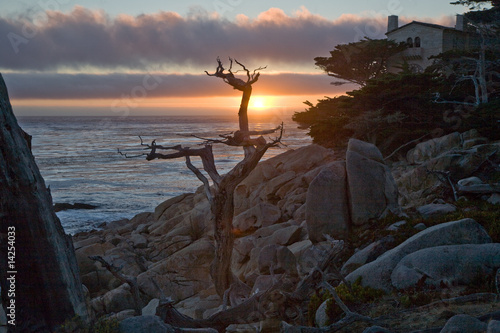 Baumstumpf am Steinstrand im Sonnenuntergang, Nähe Point Lobos