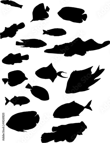 sixteen exotic fish silhouettes