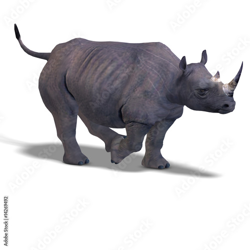 Rhinoceros Rendering