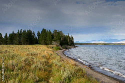 Wallpaper Mural YELLOWSTONE PARK,WYOMING_USA Torontodigital.ca