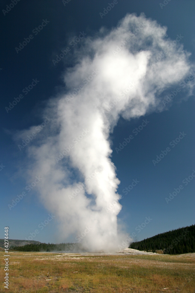 GEYSER,YELLOWSTONE PARK,WYOMING_USA GEYSER,YELLOWSTONE PARK,WYOMING_USA