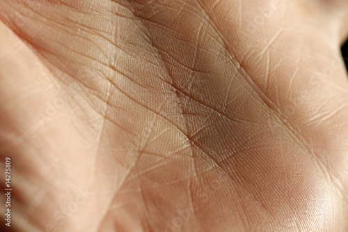 Wallpaper Mural Wahrsagen Torontodigital.ca