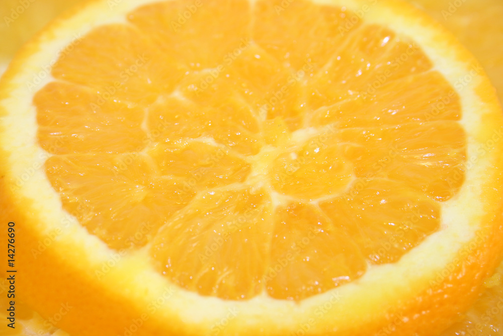 Orange Slice Orange Slice