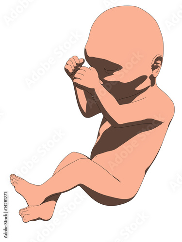 ungeborenes baby