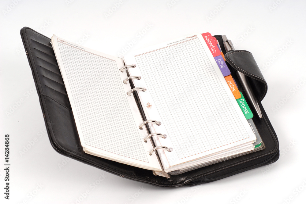 organizer