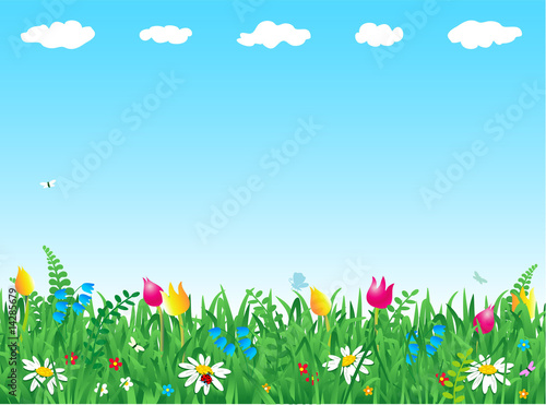 Fresh green grass and wild flowers meadow background