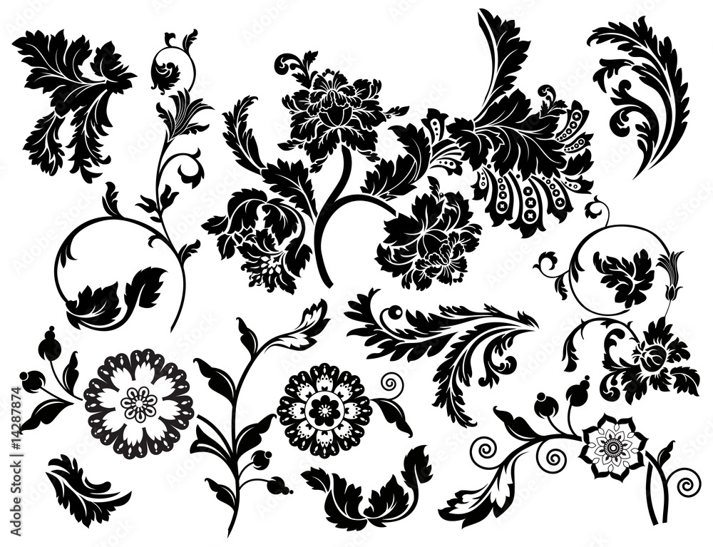 Fototapeta premium Set of design floral elements
