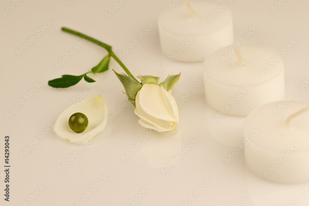 rose et bougies blanches