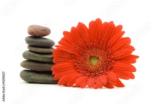 zen stones and flower