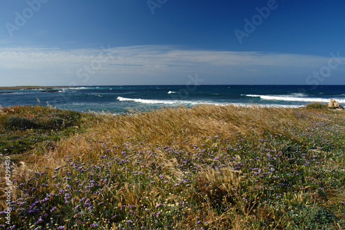 littoral de chypre pr  s de  paphos