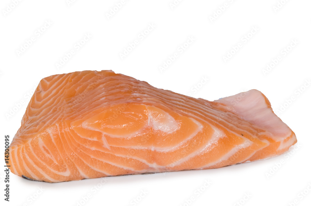 isolated salmon isolated salmon