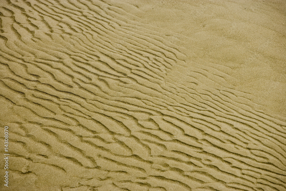 Sanddüne Sanddüne