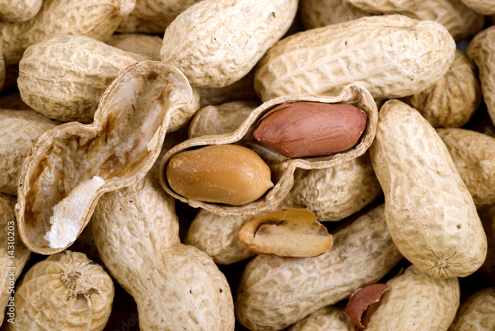 Peanuts Peanuts