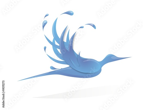 Bird of water in a white background. Illustration.