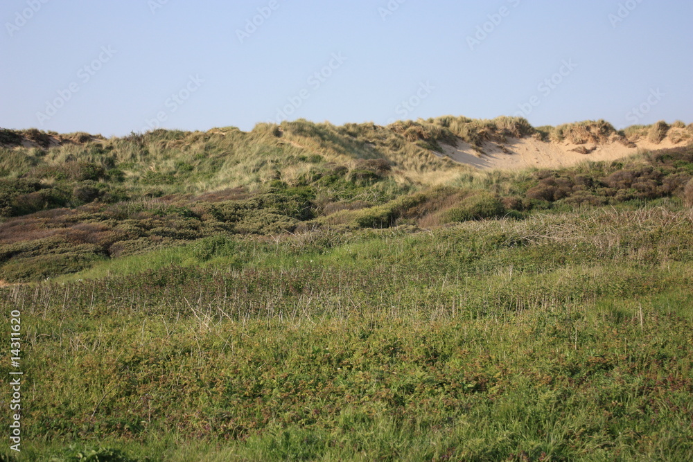 vu des dunes