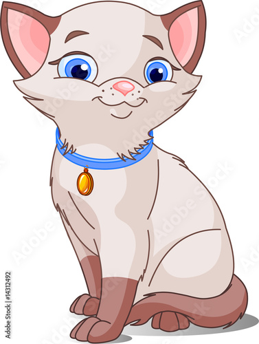 Cute cat