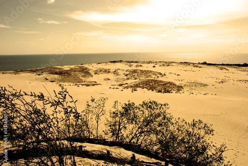 Dune landscape in Kursiu Nerija National Park, Lithuania photo