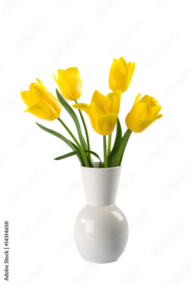 Fototapeta premium White vase with yellow tulips isolated over white