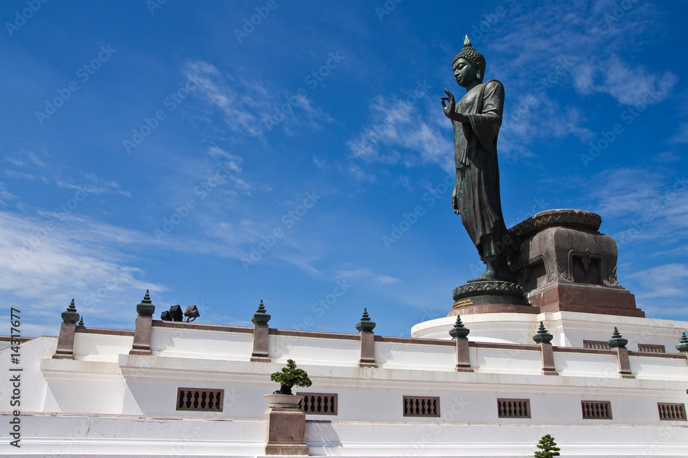 Obraz premium Walking buddha image