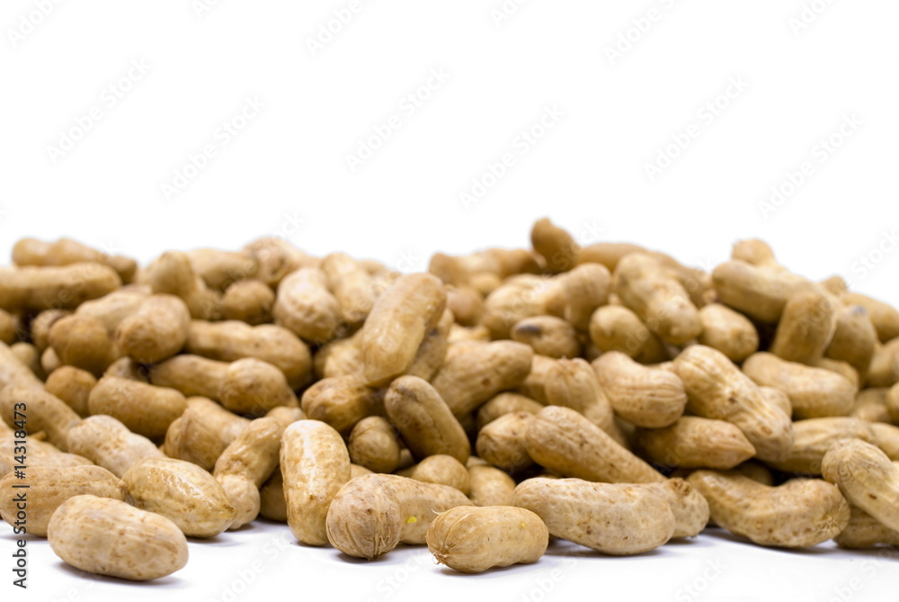 Peanut Peanut