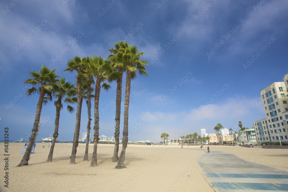 Naklejka premium Palmy i molo na plaży Santa monica w Los Angeles