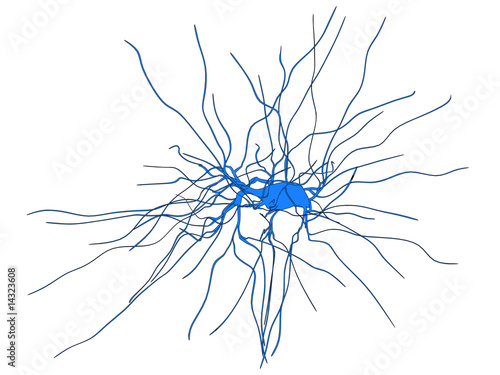 isolierte nervenzelle