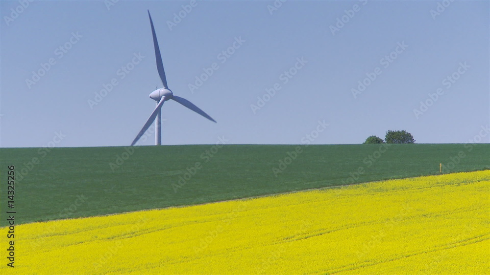 Windrad hinter Rapsfeld Windrad hinter Rapsfeld