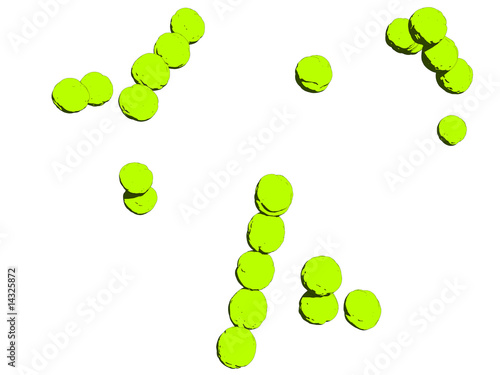 streptokokken