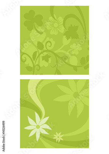foliage background  vector illustrations