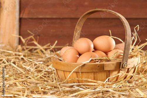 Eggs In The Barn