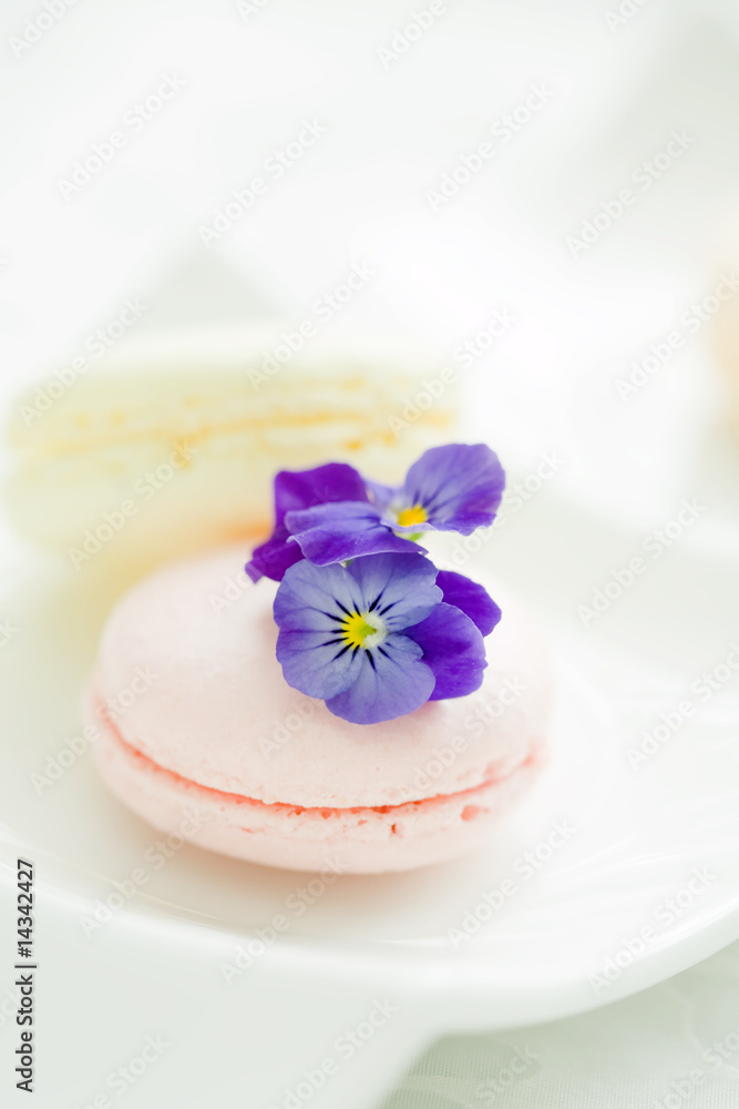 Fototapeta premium 春色マカロン