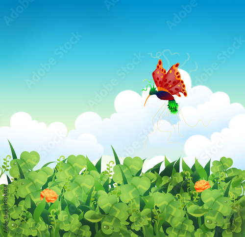 Colibri - butterfly
