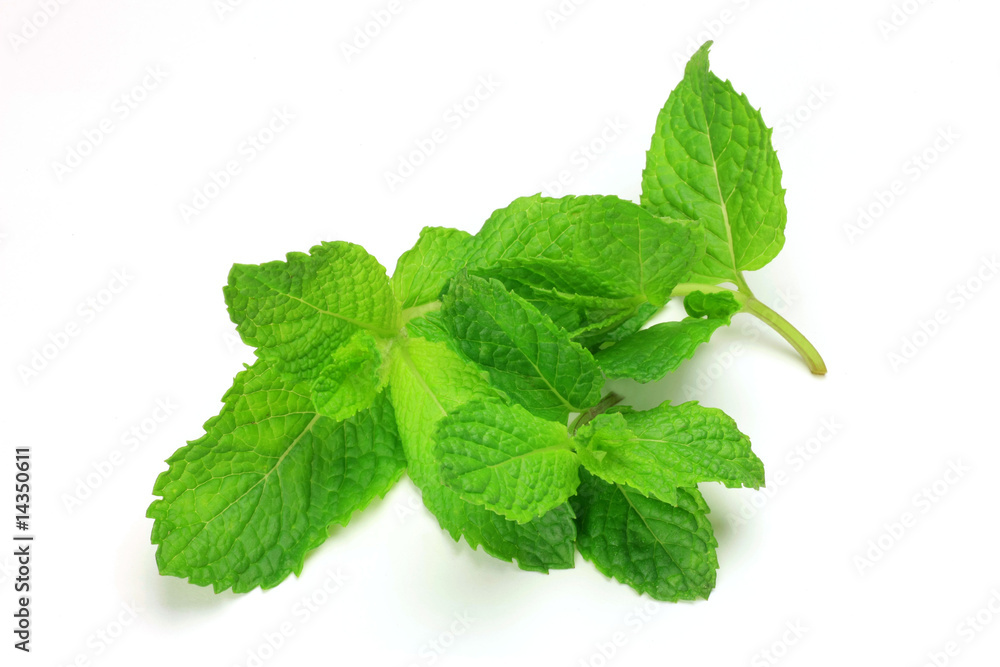 mint mint