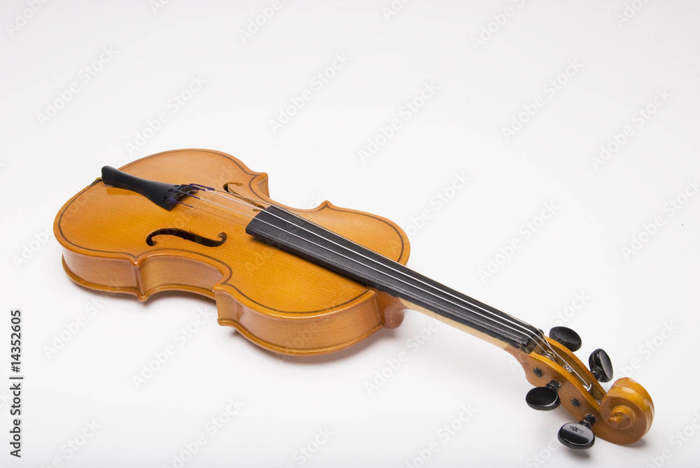 Fototapeta premium Violin