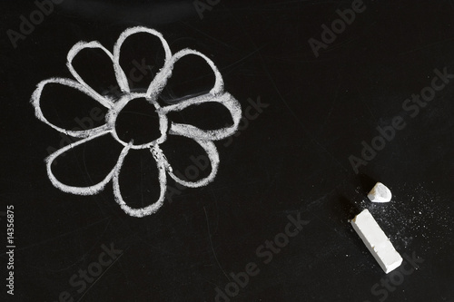 chalk flower